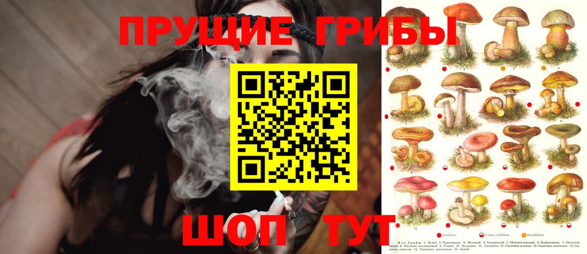 Галлюциногенные грибы ЛСД Малгобек